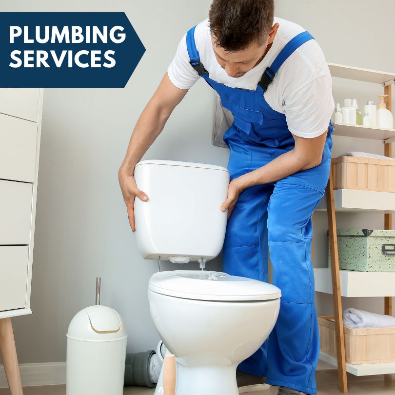 Plumbing Company in Skandia, MI